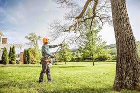 Best Tree Disease Treatment  in New Philadelphia, OH